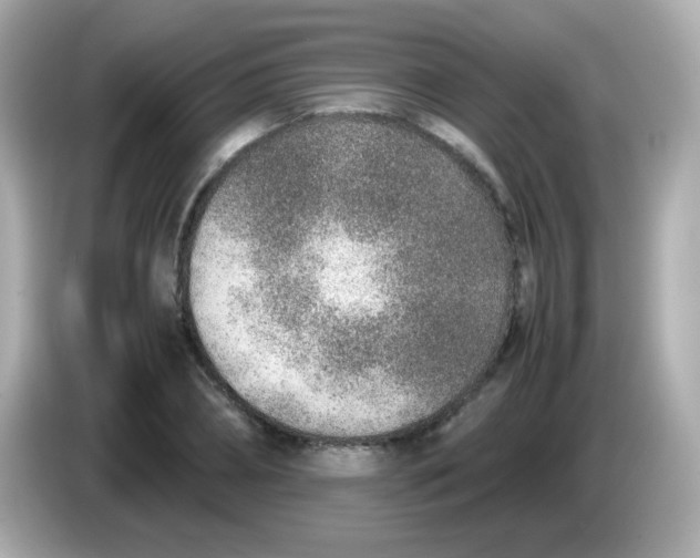 X0000085790882200704091428