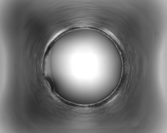 X0000085790885200704091428