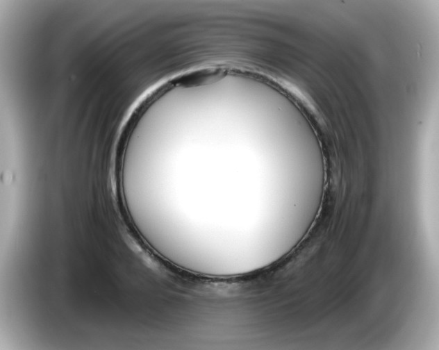 X0000085790888200704091428