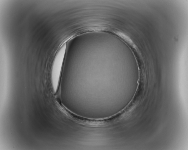 X0000085790889200704091428