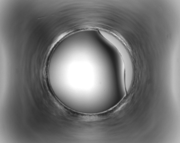 X0000085790893200704091428