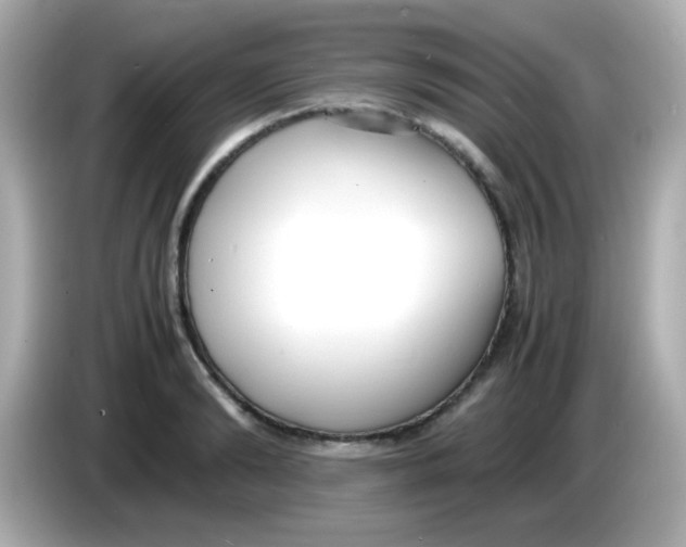 X0000085790894200704091428