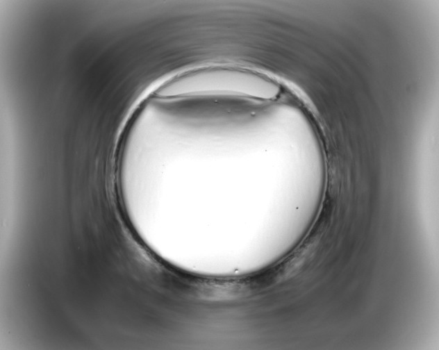 X0000085790895200704091428