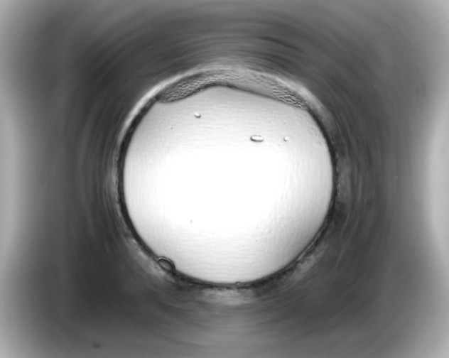 X0000085790896200704091428