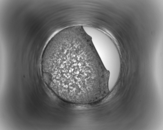 X0000085790899200704091428