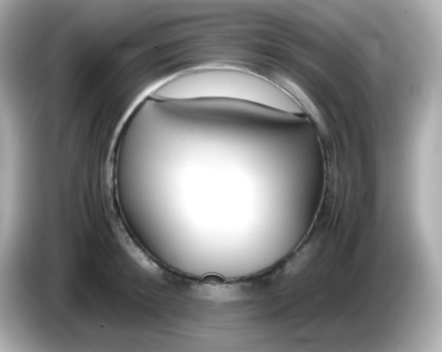 X0000085790900200704091428