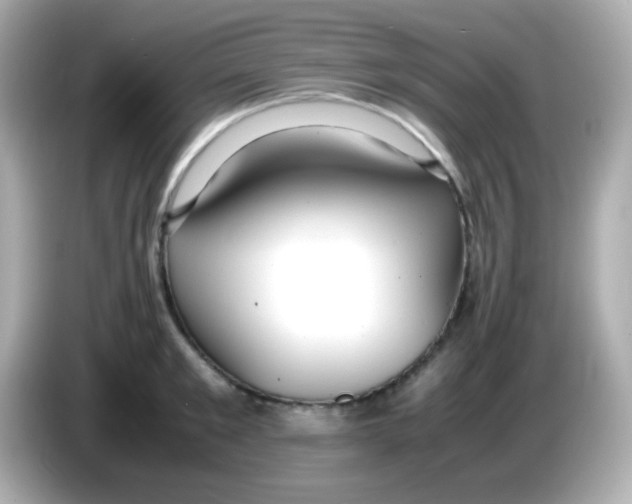 X0000085790901200704091428