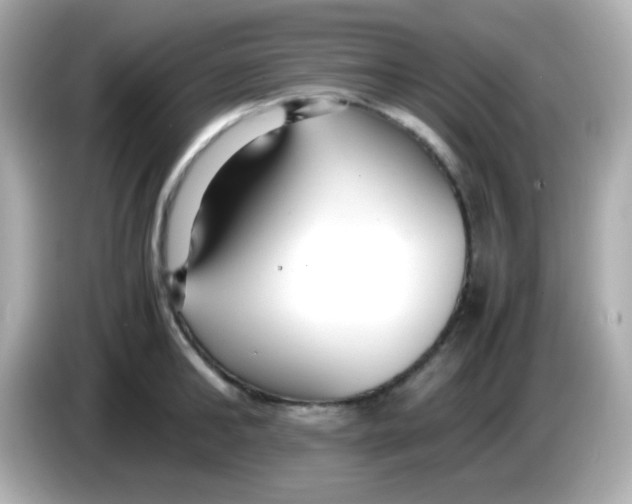X0000085790902200704091428