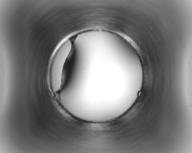 X0000085790904200704091428