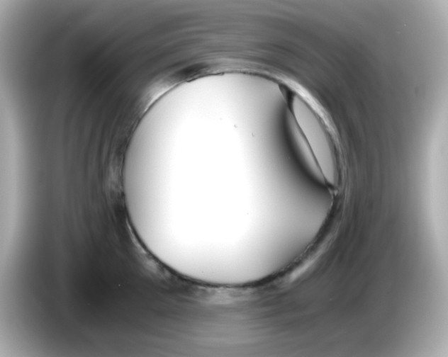 X0000085790905200704091428
