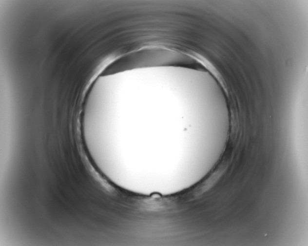 X0000085790906200704091428