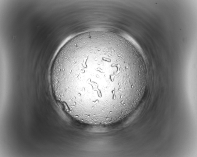 X0000085790907200704091428