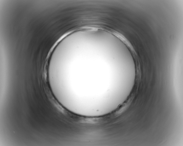 X0000085790908200704091428