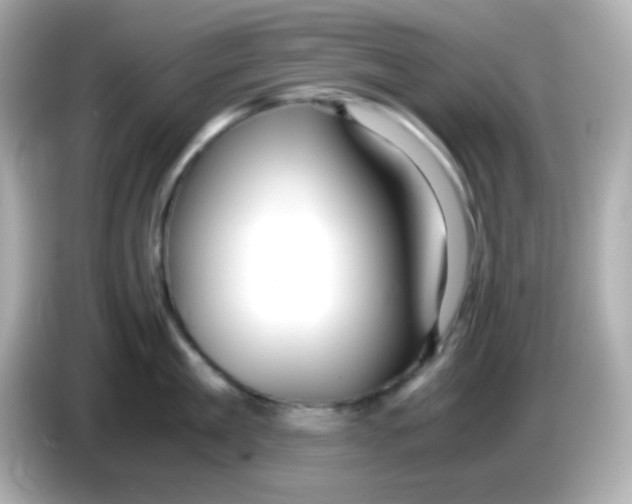 X0000085790909200704091428