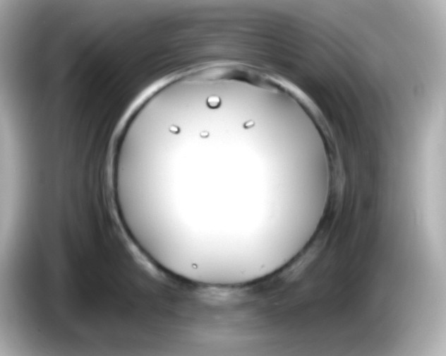 X0000085790910200704091428