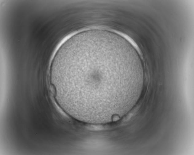X0000085790911200704091428