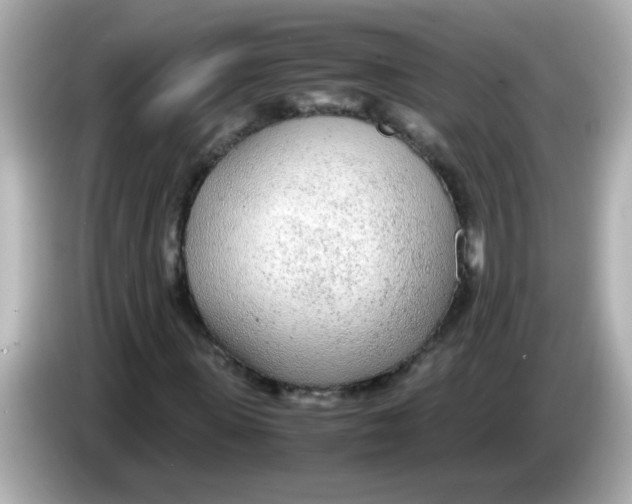 X0000085790915200704091427