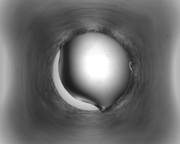 X0000085790916200704091427