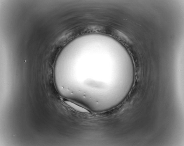 X0000085790917200704091427