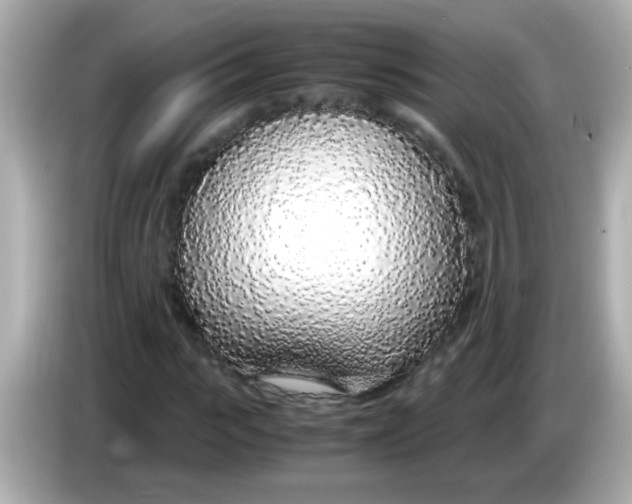 X0000085790919200704091427