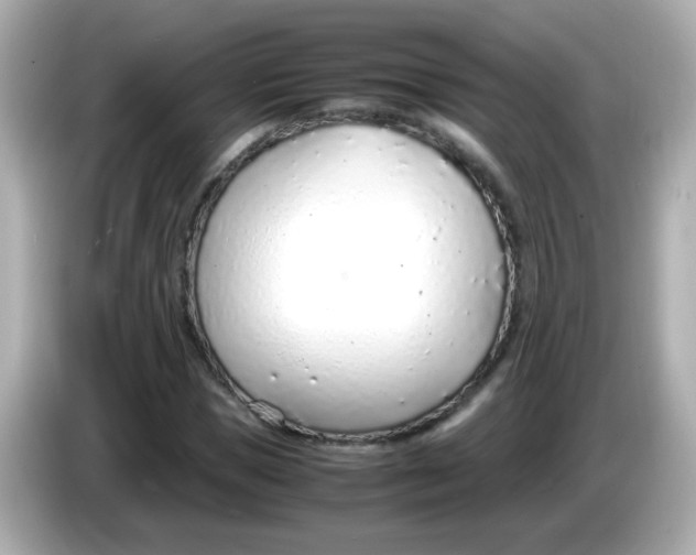 X0000085790921200704091427