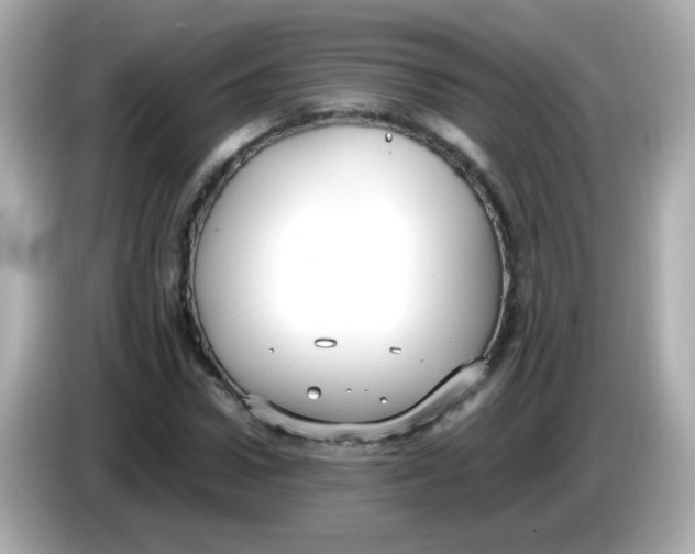 X0000085790922200704091427