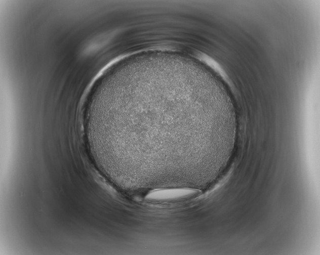 X0000085790923200704091427