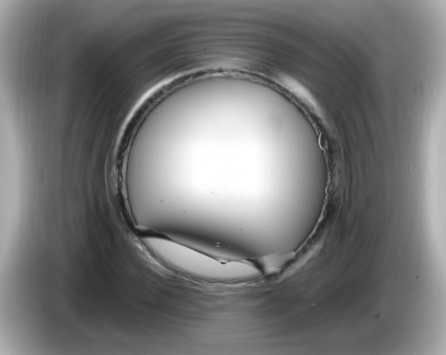 X0000085790924200704091428