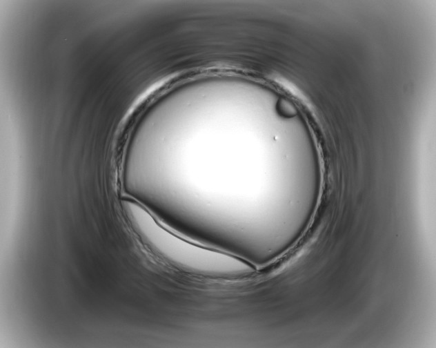 X0000085790925200704091428