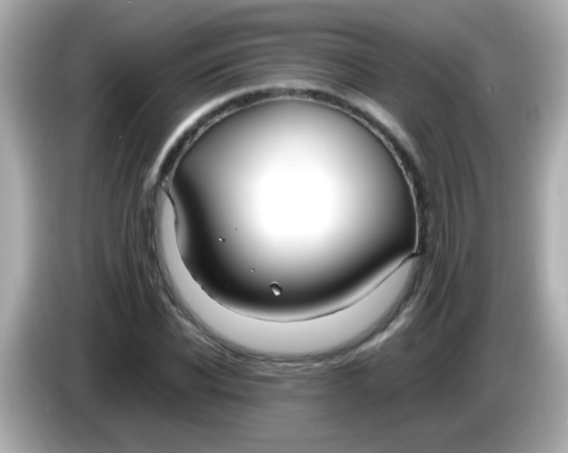 X0000085790926200704091428