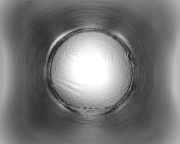 X0000085790928200704091428