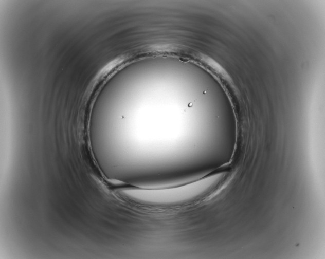 X0000085790930200704091428