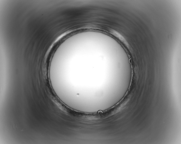X0000085790931200704091428