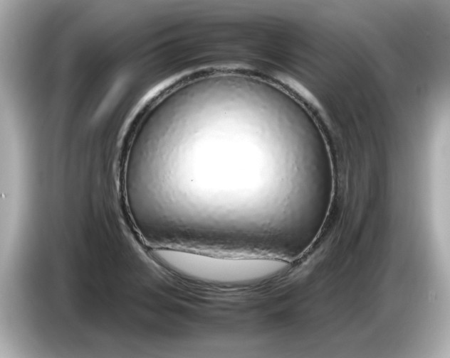 X0000085790935200704091428