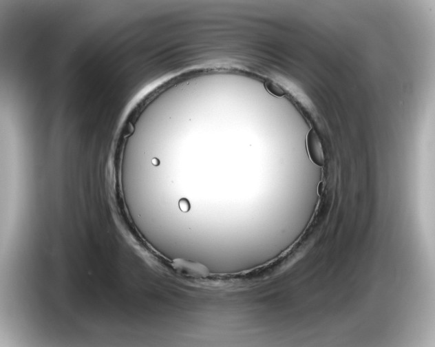 X0000085790936200704091428