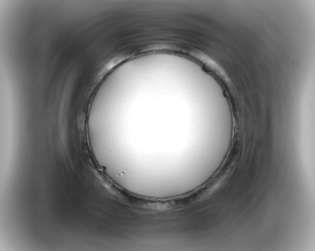 X0000085790937200704091428