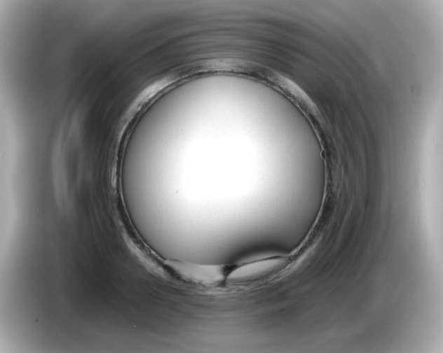X0000085790938200704091428