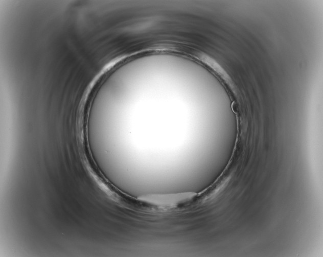 X0000085790939200704091428