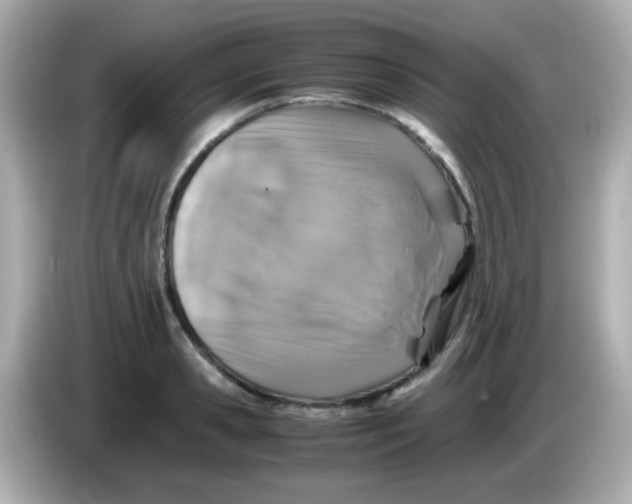 X0000085790941200704091428