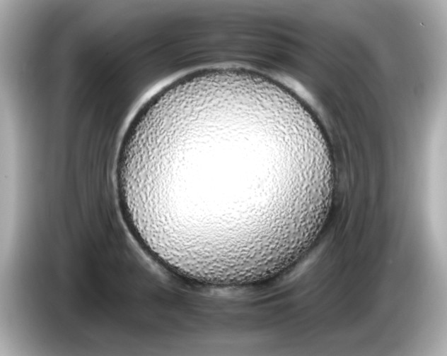 X0000085790943200704091428