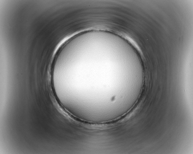 X0000085790944200704091428