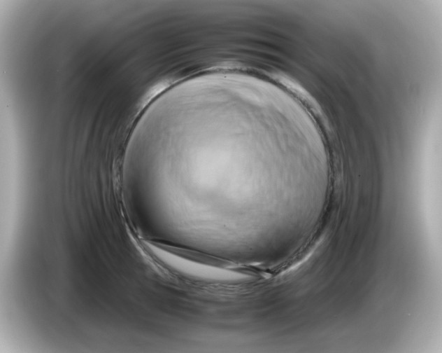 X0000085790945200704091428
