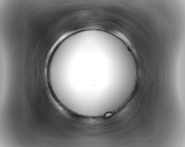 X0000085790947200704091428