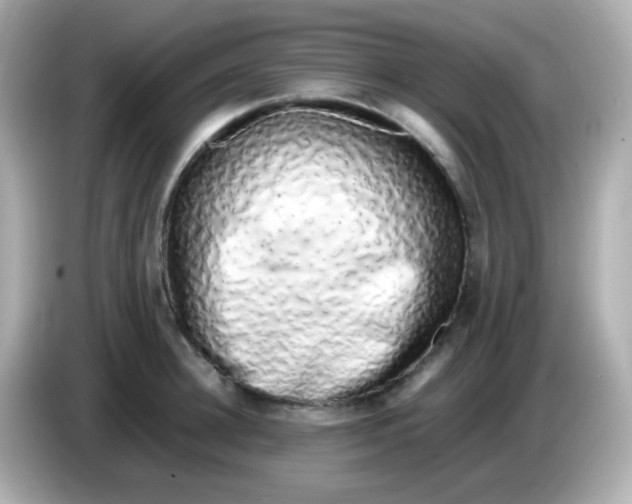 X0000085790948200704091428
