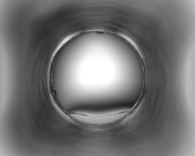 X0000085790949200704091428