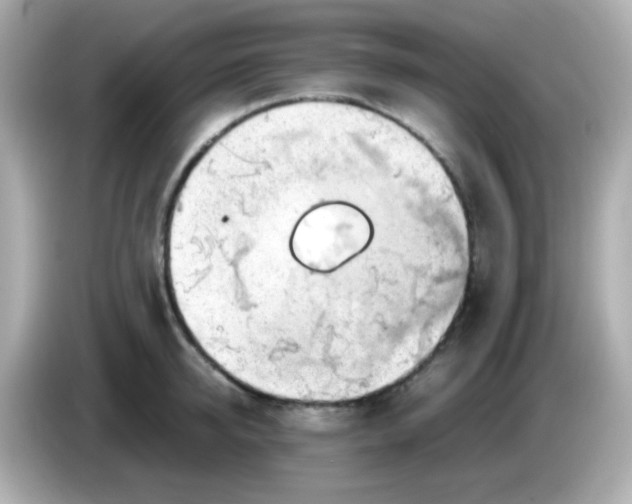 X0000085790950200704091428