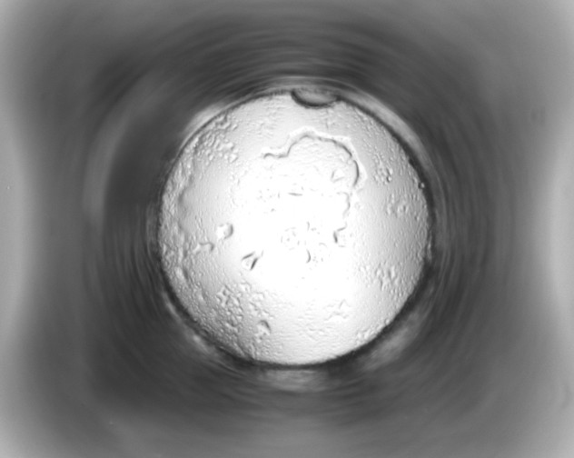 X0000085790953200704091428