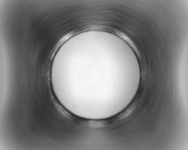 X0000085790954200704091428