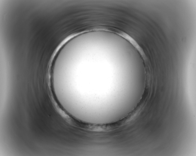 X0000085790955200704091428