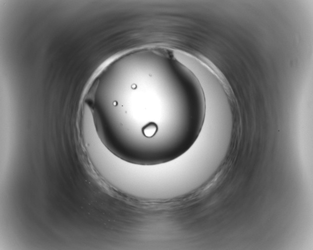 X0000085790956200704091428